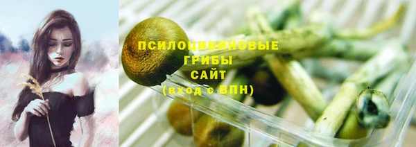 дживик Горнозаводск