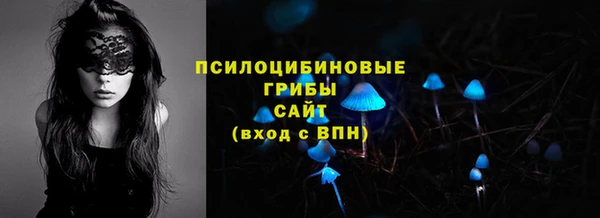 PSILOCYBIN Гусев