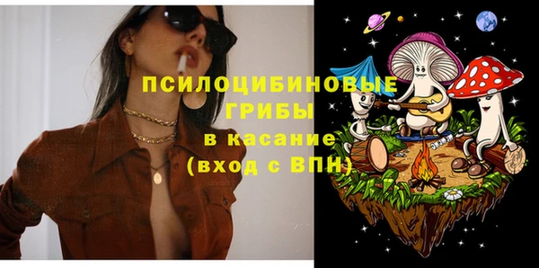 дживик Горнозаводск