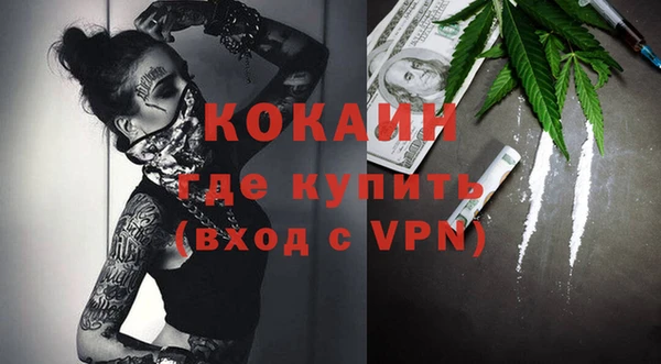 PSILOCYBIN Гусев