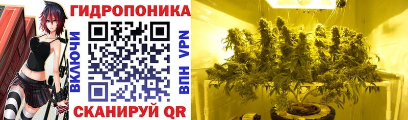 Конопля VHQ  Купить закладки  Кукмор 